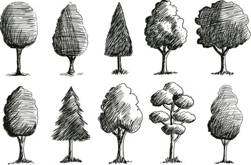 Vintage Hand-Drawn Sketch Tree Collection Set
