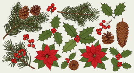 Hand-drawn vector illustration of winter greenery, featuring pine branches, holly leaves with berries, vibrant red poinsettias, and natural pine cones, creating a festive botanical arrangement