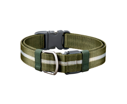 Durable green nylon dog collar with quick release buckle for outdoor adventures on transparent background