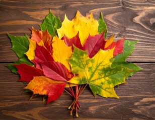 Colorful autumn leaves arranged in a bouquet on a textured wooden background