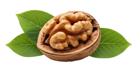 Half walnut with kernel and green leaves isolated on transparent background