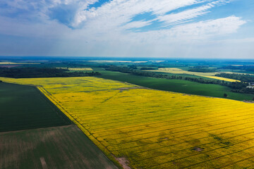 Midsummer landscape of Latvia countryside.