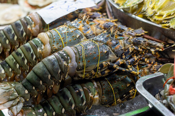 Bangkok's Chinatown night market features fresh spiny lobsters on ice. Distinctive spotted patterns, tied claws, ready for purchase.