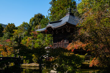 Obraz premium 日本、京都、清涼寺、紅葉、秋、絶景、寺院、文化財、木造建築、古代建築、日本文化、歷史名勝、文化財、木、綠色、青空、写真素材