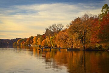 Autumn background with colorful trees. Nature with landscape. Seasonal concept for fall.