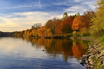 Autumn background with colorful trees. Nature with landscape. Seasonal concept for fall.