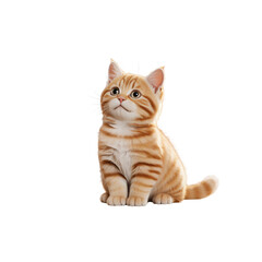Cute Orange Tabby Cat Sitting Calmly and Looking Up
