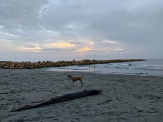 Bocagrande Beach in Cartagena, Colombia