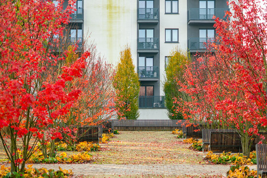 Modern residential apartment building with balconies surrounded by vibrant red autumn maple trees and green landscaping on a sunny day in city