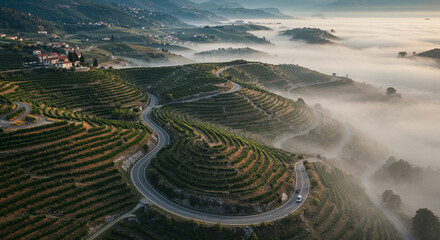 Naklejka premium Road Through Tuscany-Style Vineyard Hills Aerial Photography