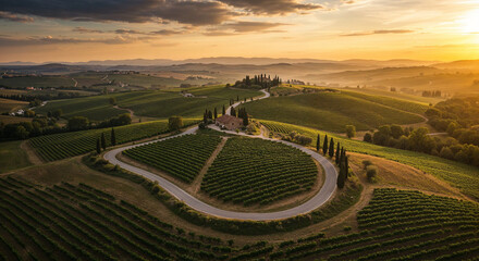 Naklejka premium Road Through Tuscany-Style Vineyard Hills Aerial Photography