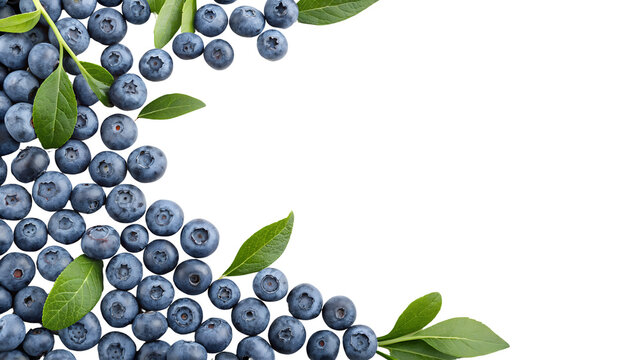 fresh blueberries with leaves isolated on white or transparent png
