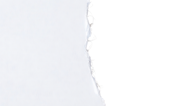 Torn paper edge isolated on transparent background