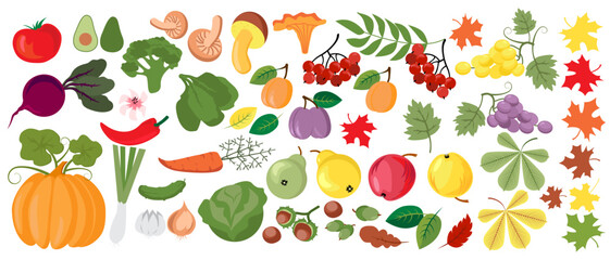 Obraz premium Vector illustrations of autumn objects: fruits and vegetables, harvest, tree leaves, plants, pumpkin. Cute fall set freehand drawings.