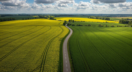 Fototapeta premium Spring Rapeseed Bloom with Rural Road Aerial Photography
