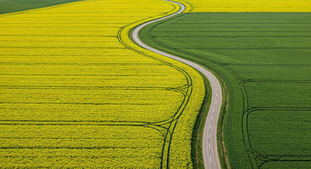 Fototapeta premium Spring Rapeseed Bloom with Rural Road Aerial Photography