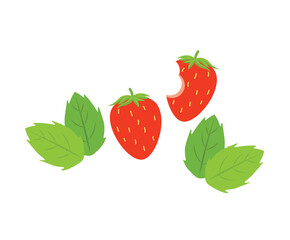 Two Strawberries and Mint Leaves Icon Set. One Bitten Summer Fruit Graphic Vector. Fresh Berry with Green Leaf Clipart on White.