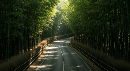 Aerial View of Misty Road Through Dense Bamboo Forest