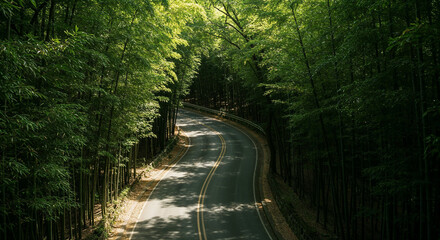 Aerial View of Misty Road Through Dense Bamboo Forest