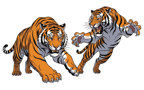 Two powerful cartoon tigers in aggressive stances, one crouching and the other leaping with claws extended, on a white background.