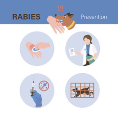 Rabies Prevention banner or Poster background. Animal examination, vaccination. Design Infographic with various icons and signs