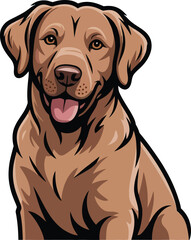 Fototapeta premium Cute cartoon a illustrator vector chesapeake bay retriever 