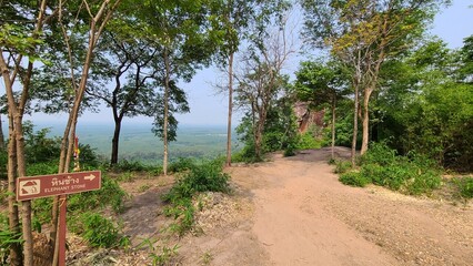 山頂からの景色