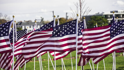 American flags wave in a field during a sunny day near a community park in autumn
