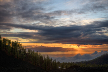 Dramatic Sunset with Sun Rays Over Pine Forest and Cloud Sea, Tenerife, Canary Islands