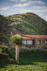 Traditional Canarian House with Palm Tree on Hillside, Tenerife, Canary Islands