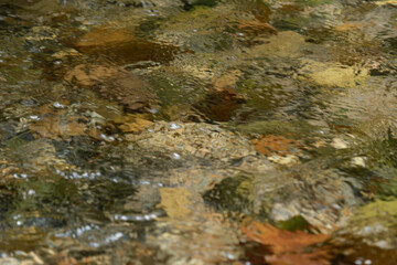 Colorful Riverbed Rocks Under Clear Water Create Natural Textures, Calm Mood, and Subtle Motion