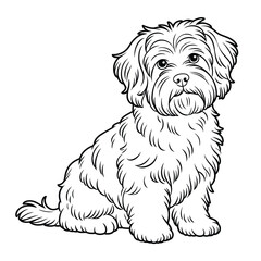 Cute fluffy dog sitting and looking forward black and white line drawing