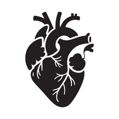 Stylized human heart graphic medical anatomy illustration icon design
