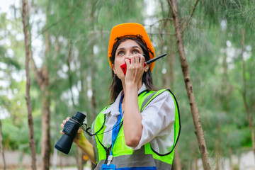 Female Environmental Surveyor Observing Forest Ecosystem