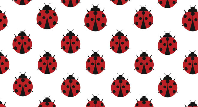 Seamless ladybug pattern cute insect vector art red ladybird background nature illustration