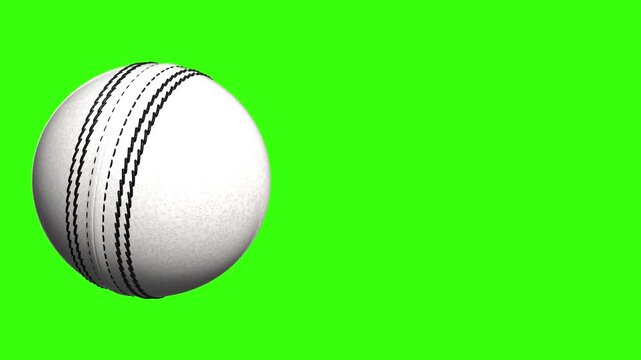 white cricket leather  ball on green screen