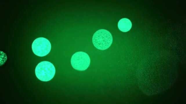 Green fluorescent microscopy showing cluster of cells under high magnification view