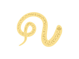 Hookworm Parasite illustration