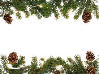 christmas tree branches with cones