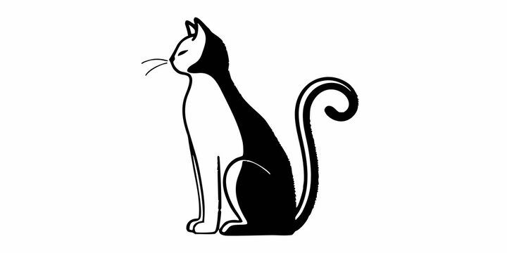 Elegant black and white cat sitting with curled tail and whiskers in a minimalist design style image