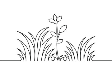Elegant grass and flower line drawing isolated on white background
