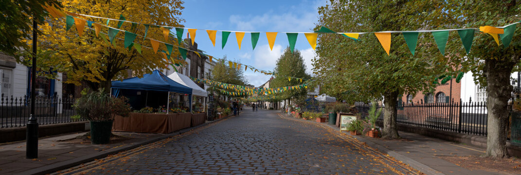 A charming street scene adorned with colorful bunting and lined by trees, showcasing a delightful atmosphere perfect for community events and gatherings in a vibrant town setting.