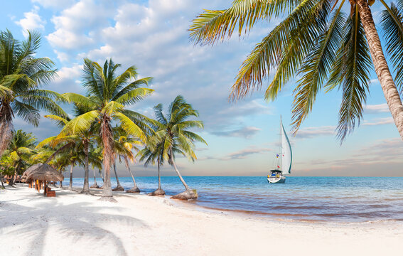 Paradise Sunny beach with palms and turquoise sea with lone yacht - Summer vacation and tropical beach concept - Cancun, Mexico