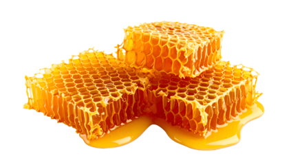 
Fresh honeycomb sweet food, honey products by organic natural ingredients concept,  isolated on transparent background