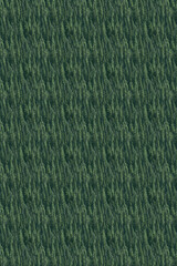 green grass texture