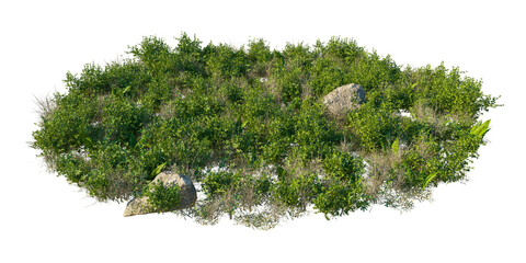Forest Field Ground texture cutout isolated png on a transparent background premium nature cutout