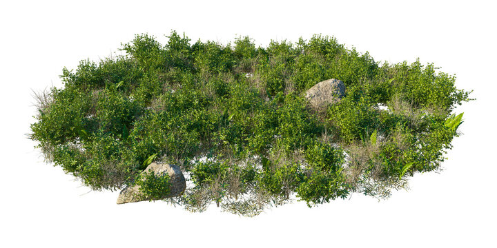 Forest Field Ground texture cutout isolated png on a transparent background premium nature cutout