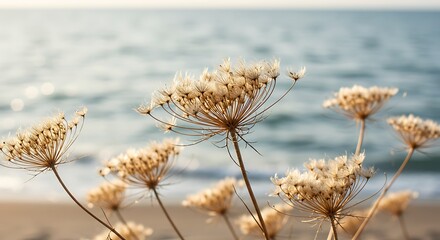 Delicate dried flowers against blurred ocean backdrop serene natural landscape
