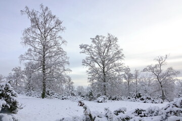 Winter bei Riedelbach im Taunus