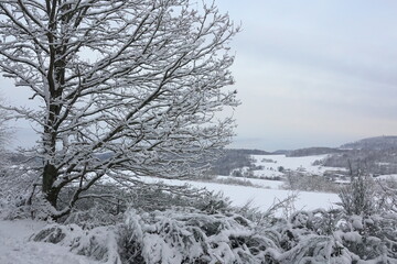 Winter an der Riedelbacher Heide
